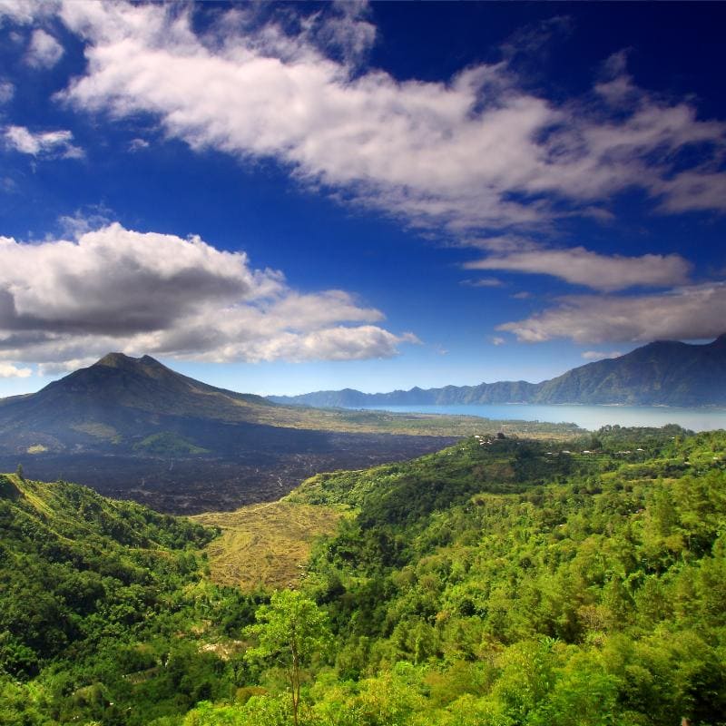 Bali - Night Safari Adventure